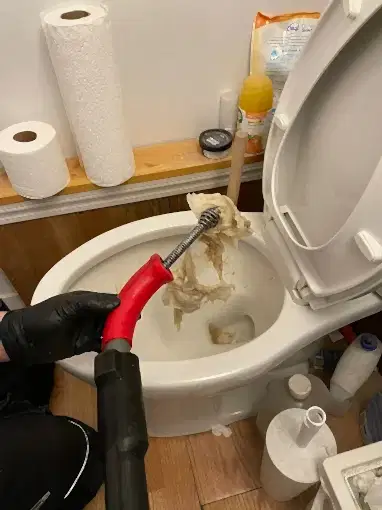 Clogged toilet